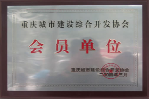 S36沙龙会 - 要玩就玩沙龙会
