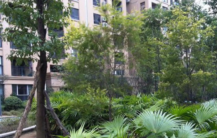 S36沙龙会 - 要玩就玩沙龙会