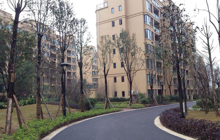S36沙龙会 - 要玩就玩沙龙会